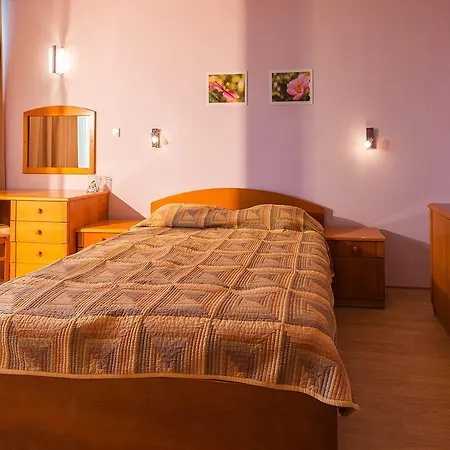 Ivana Palace - Free Parking Hotel 4*