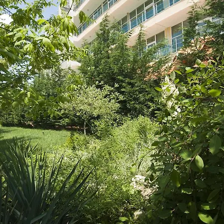 Hotel Ivana Palace - Free Parking 4*