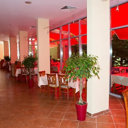 Ivana Palace - Free Parking Hotel 4*